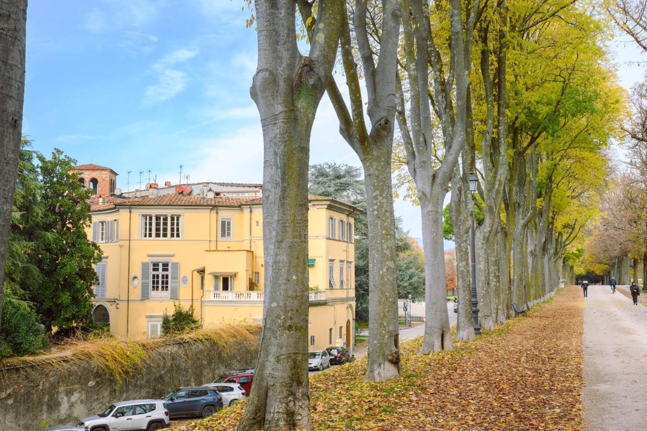 Palazzo Froussard B&B And Living Lucca Exterior photo